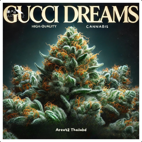 Gucci Dreams | Top Shelf Elite