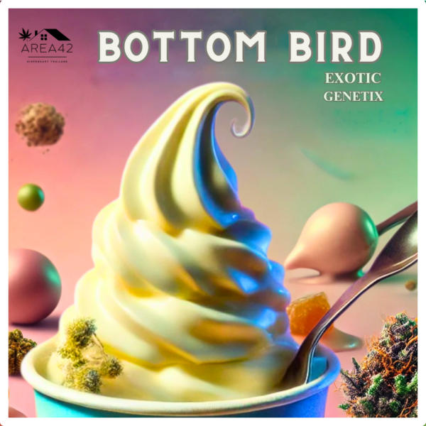 Bottom Bird | Exotic Genetix