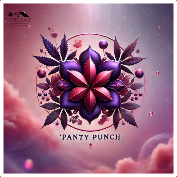 Panty Punch | Seed Stockers