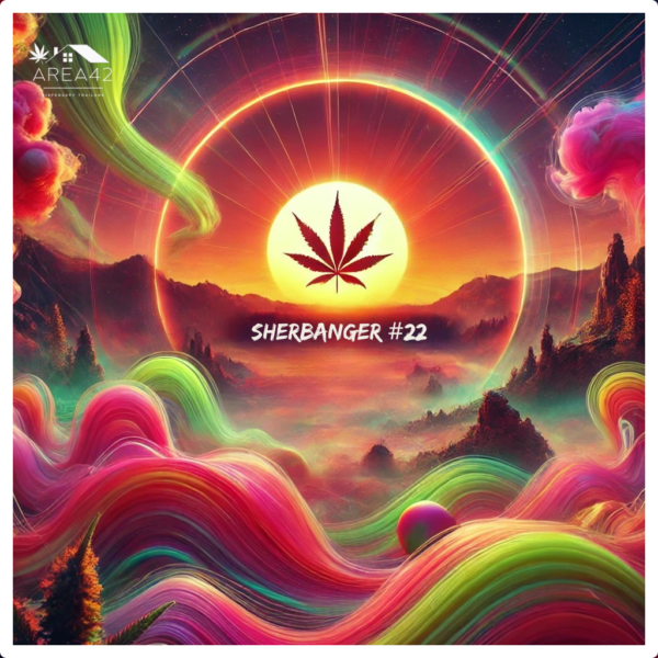 Sherbanger #22 | Boston Roots Seed Co