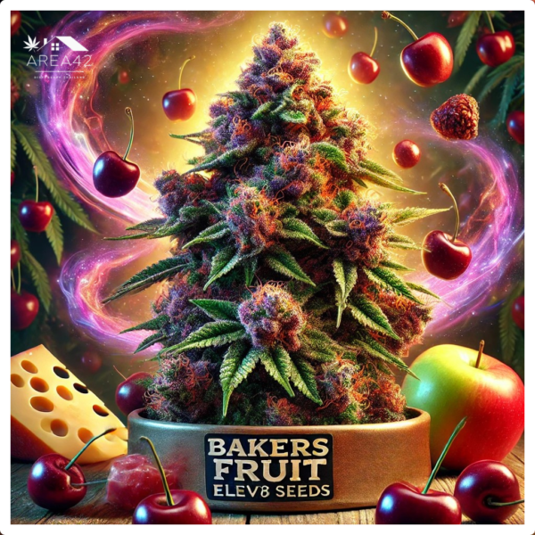 Bakers Fruit | Elev8 Seeds