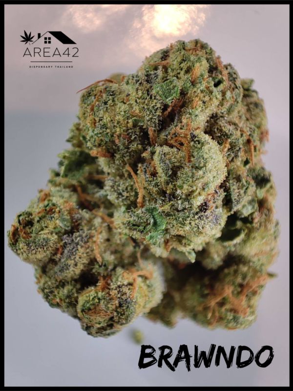 Brawndo | 1904 Genetics - Image 2