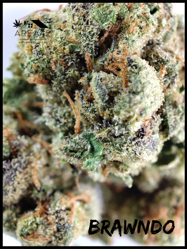 Brawndo | 1904 Genetics - Image 4