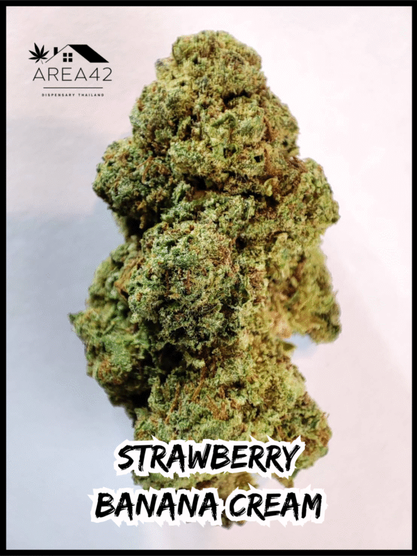 Strawberry Banana Cream | Copycat Genetics - Image 2