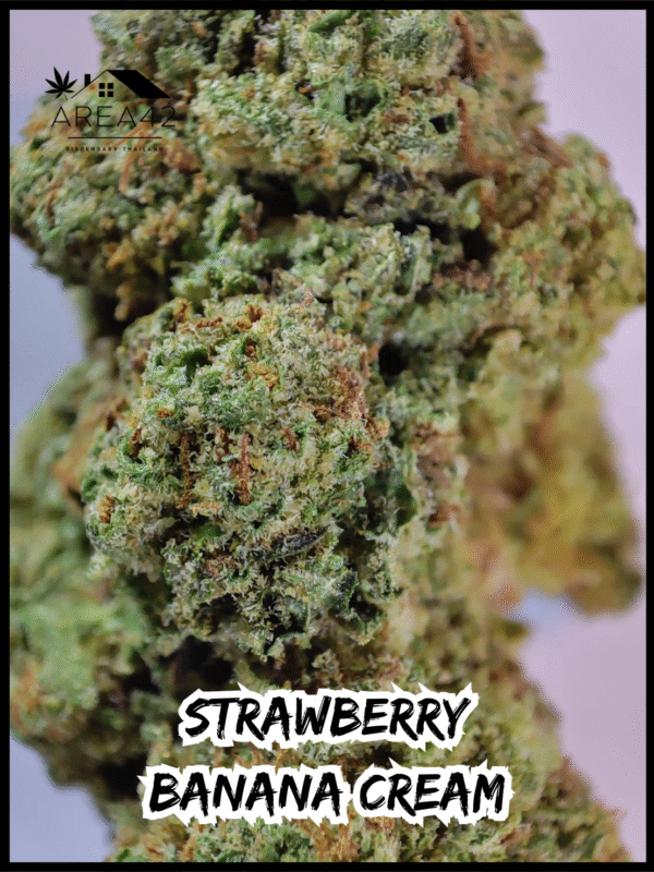 Strawberry Banana Cream | Copycat Genetics - Image 3