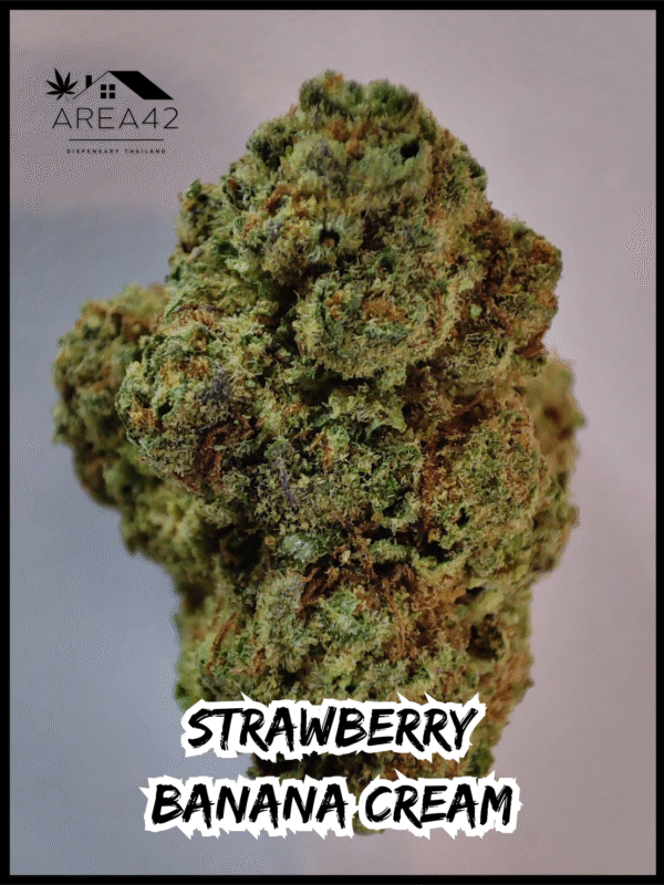 Strawberry Banana Cream | Copycat Genetics - Image 4