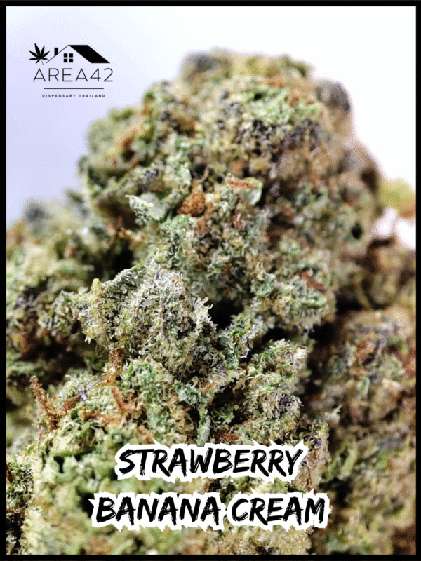 Strawberry Banana Cream | Copycat Genetics - Image 5