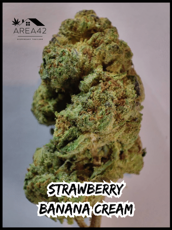 Strawberry Banana Cream | Copycat Genetics - Image 6