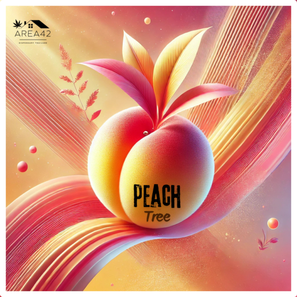Peach Tree | Dying Breed Seeds