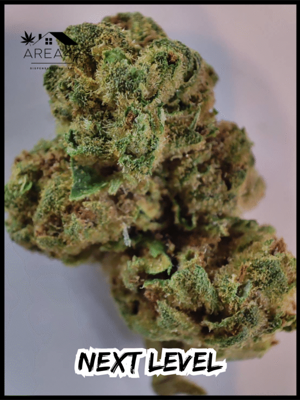 Next Level | Exotic Genetix - Image 5