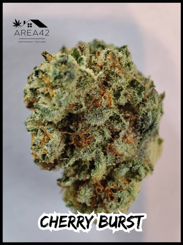 Cherry Burst | Grow More Fire - Image 2