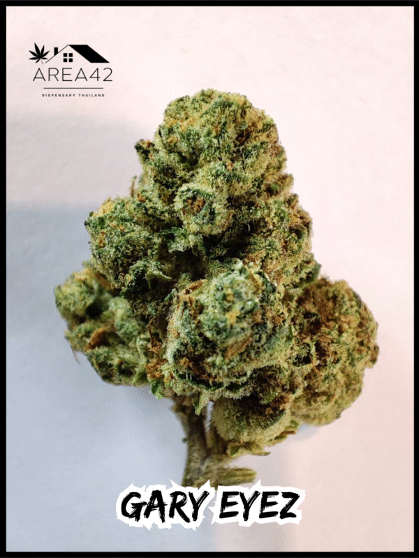 Gary Eyez | Seed Junky Genetics - Image 2