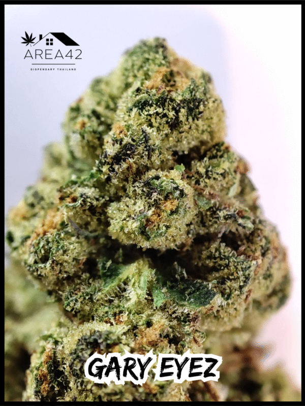 Gary Eyez | Seed Junky Genetics - Image 4