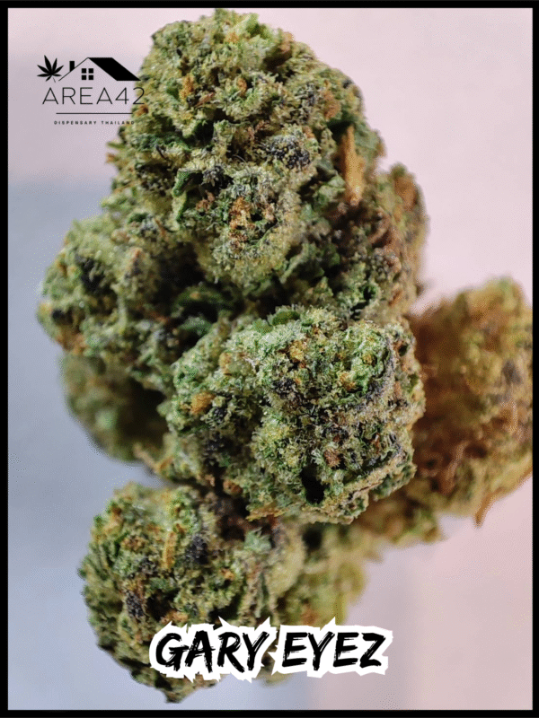 Gary Eyez | Seed Junky Genetics - Image 5