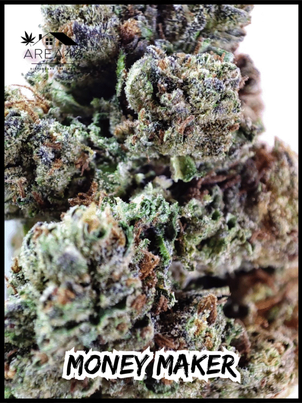 Money Maker | Green House Seeds - Image 3