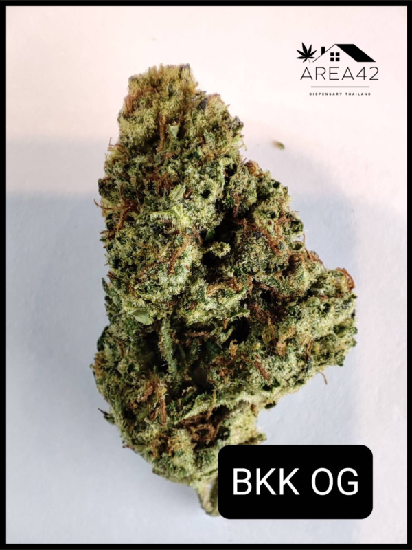 Bangkok OG |  LIT Farms with Thai Growers - Image 2