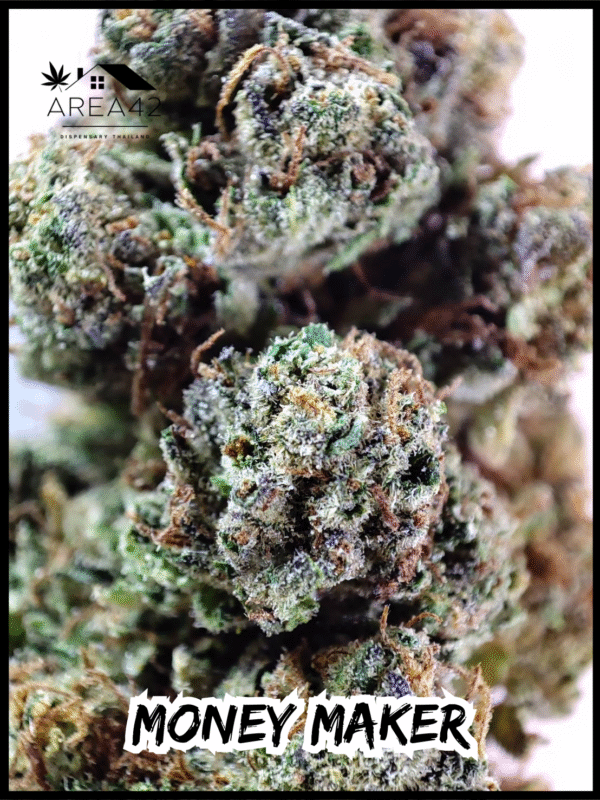 Money Maker | Green House Seeds - Image 5