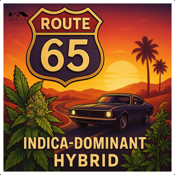 Route 65 |  Wizard Trees