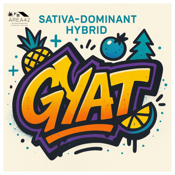 Gyat | Exotic Genetix