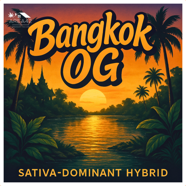 Bangkok OG |  LIT Farms with Thai Growers