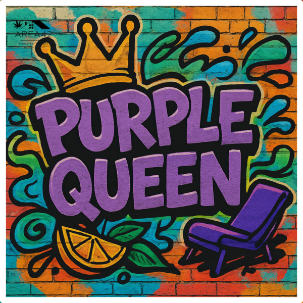 Purple Queen | Royal Queen Seeds